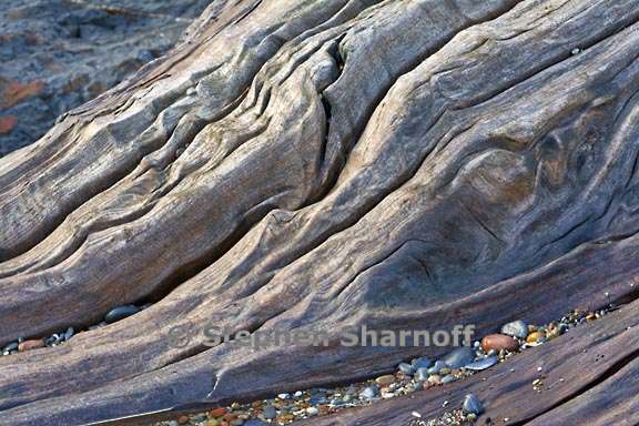 driftwood 3714 6 graphic